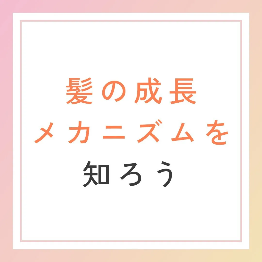 髪の成長メカニズムを知ろう！🌱✨