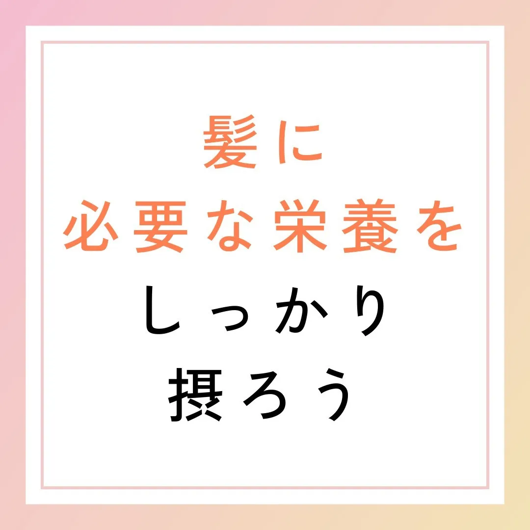 髪に必要な栄養をしっかり摂ろう🍽️✨