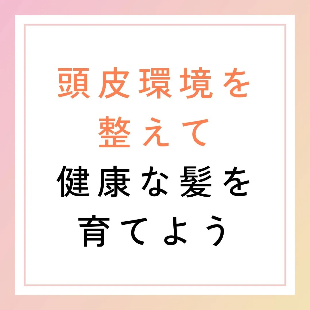 頭皮環境を整えて健康な髪を育てよう🌿✨