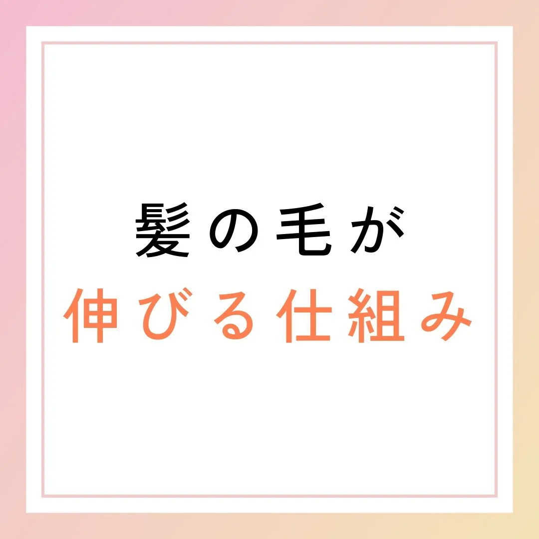 髪の毛が伸びる仕組み（メカニズム）🧬✨