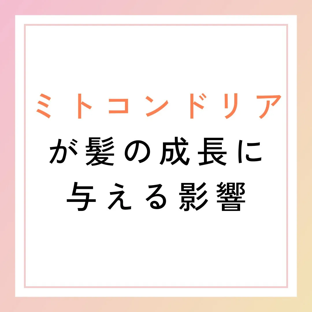 ミトコンドリアが髪の成長に与える影響🌟