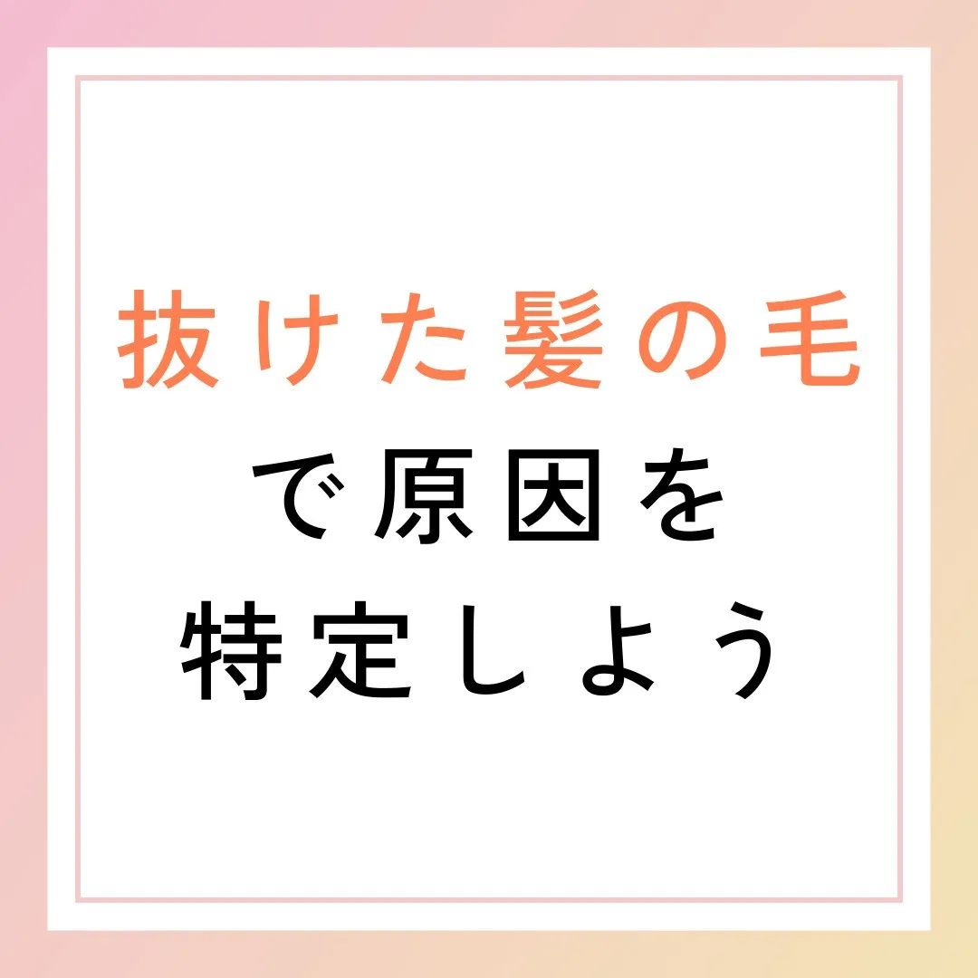 抜けた髪の毛で原因を特定しよう🔍