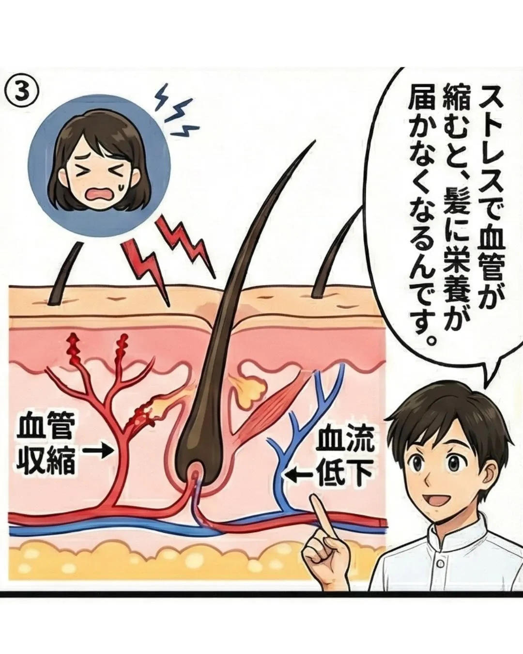 自律神経と薄毛の関係🧠💡